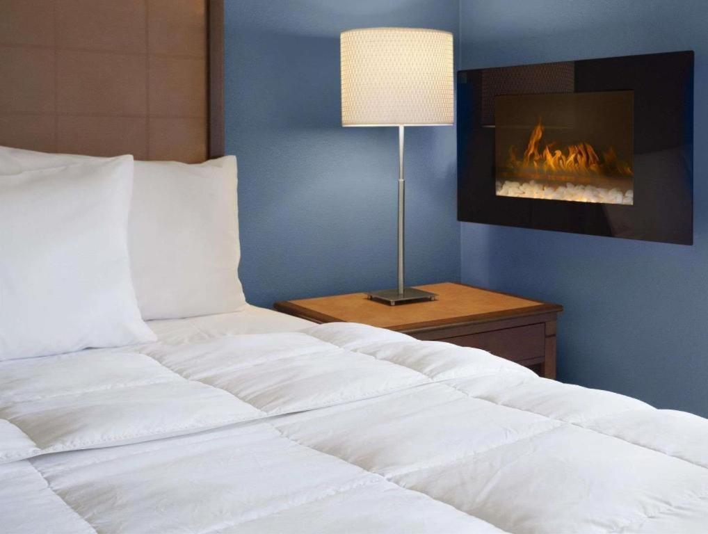Days Inn By Wyndham Lacey Olympia Area Eksteriør billede